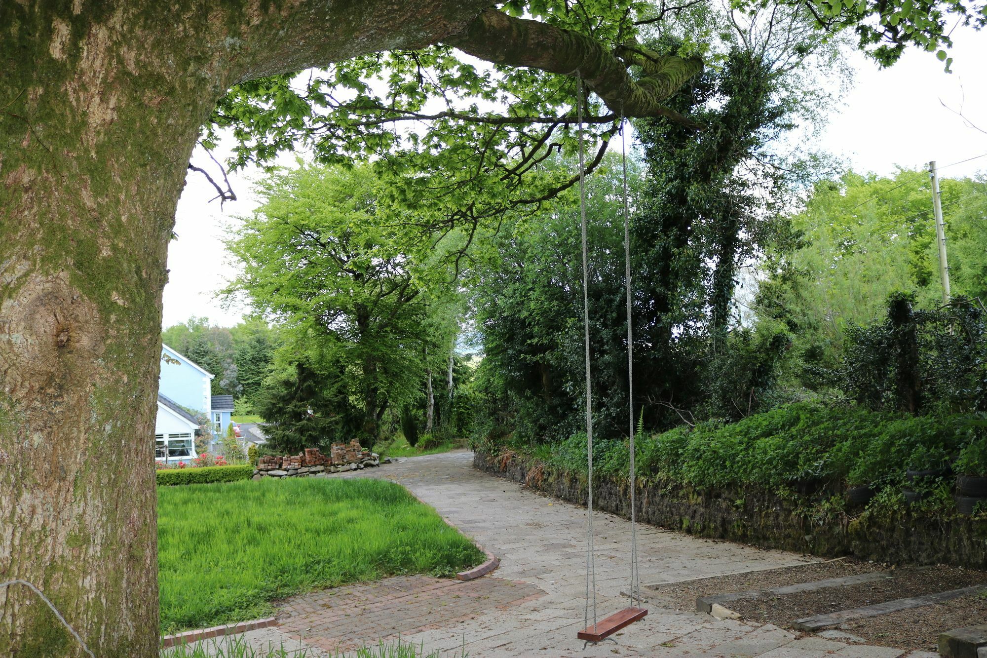 Five Oaks Londonderry Exterior foto